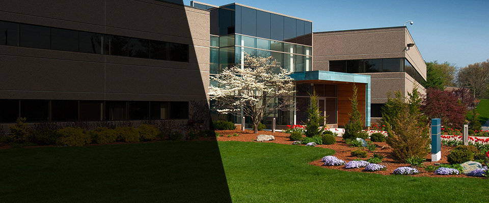 Norristown Landscapers