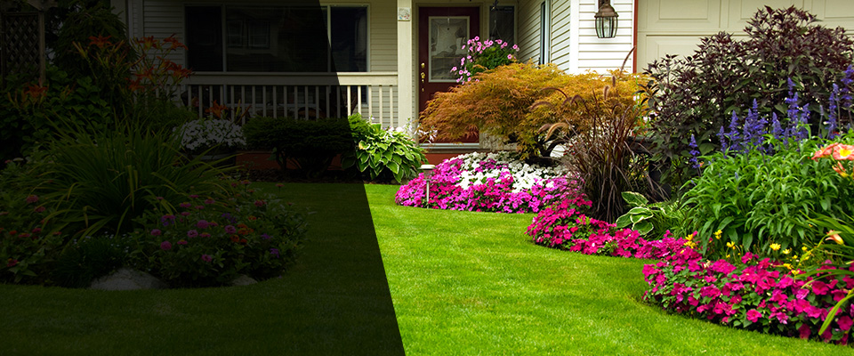 Norristown Landscapers