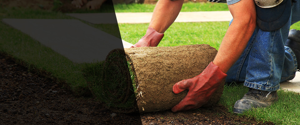 Norristown Landscapers